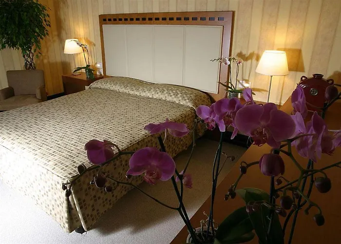 Maggior Consiglio Hotel Treviso